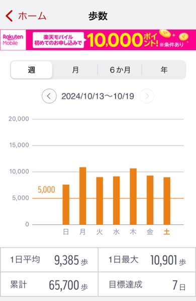 2024/10/13〜19の歩数記録